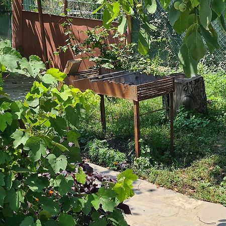 "Budur" Guest House Gandzakar Екстер'єр фото