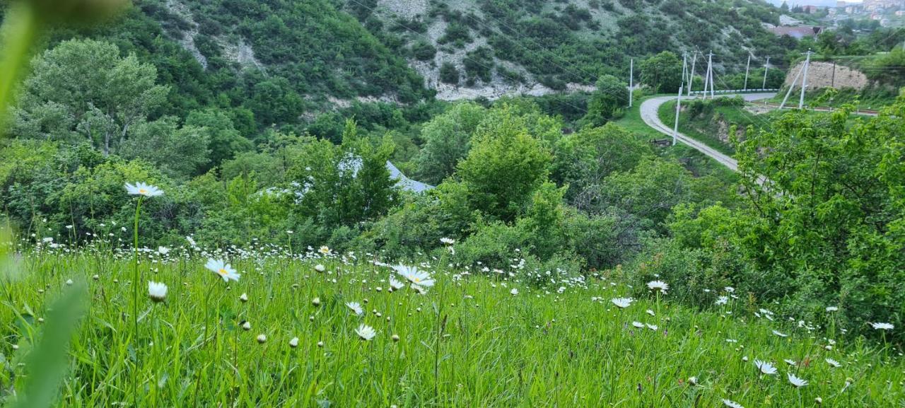 "Budur" Guest House Gandzakar Екстер'єр фото