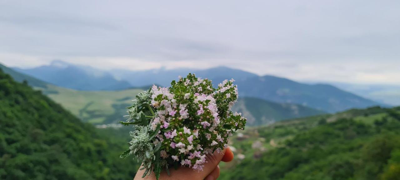 "Budur" Guest House Gandzakar Екстер'єр фото